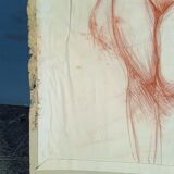 Drawing sanguine study nude female 67/50cm 1950