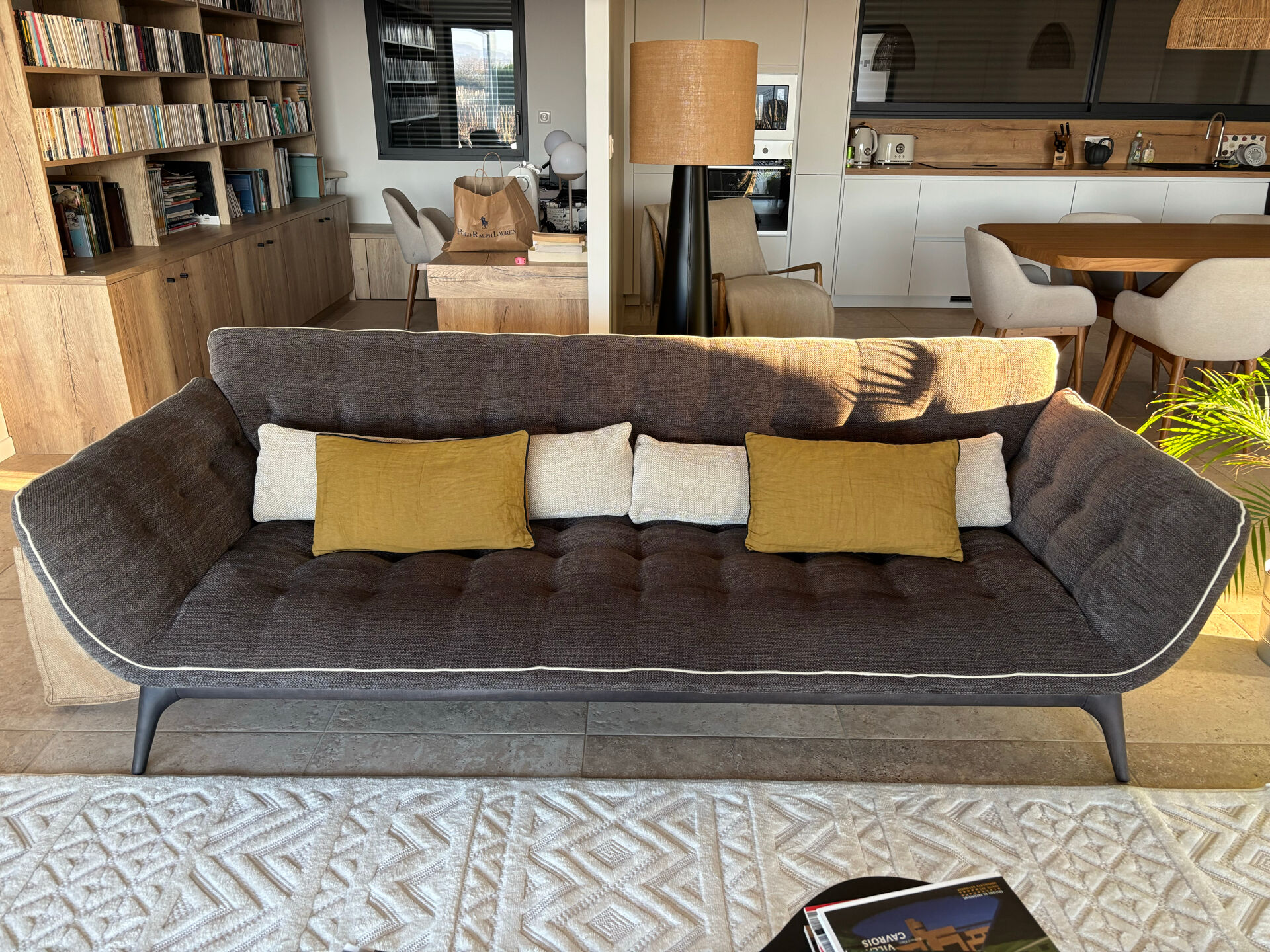 Roche-Bobois sofa
