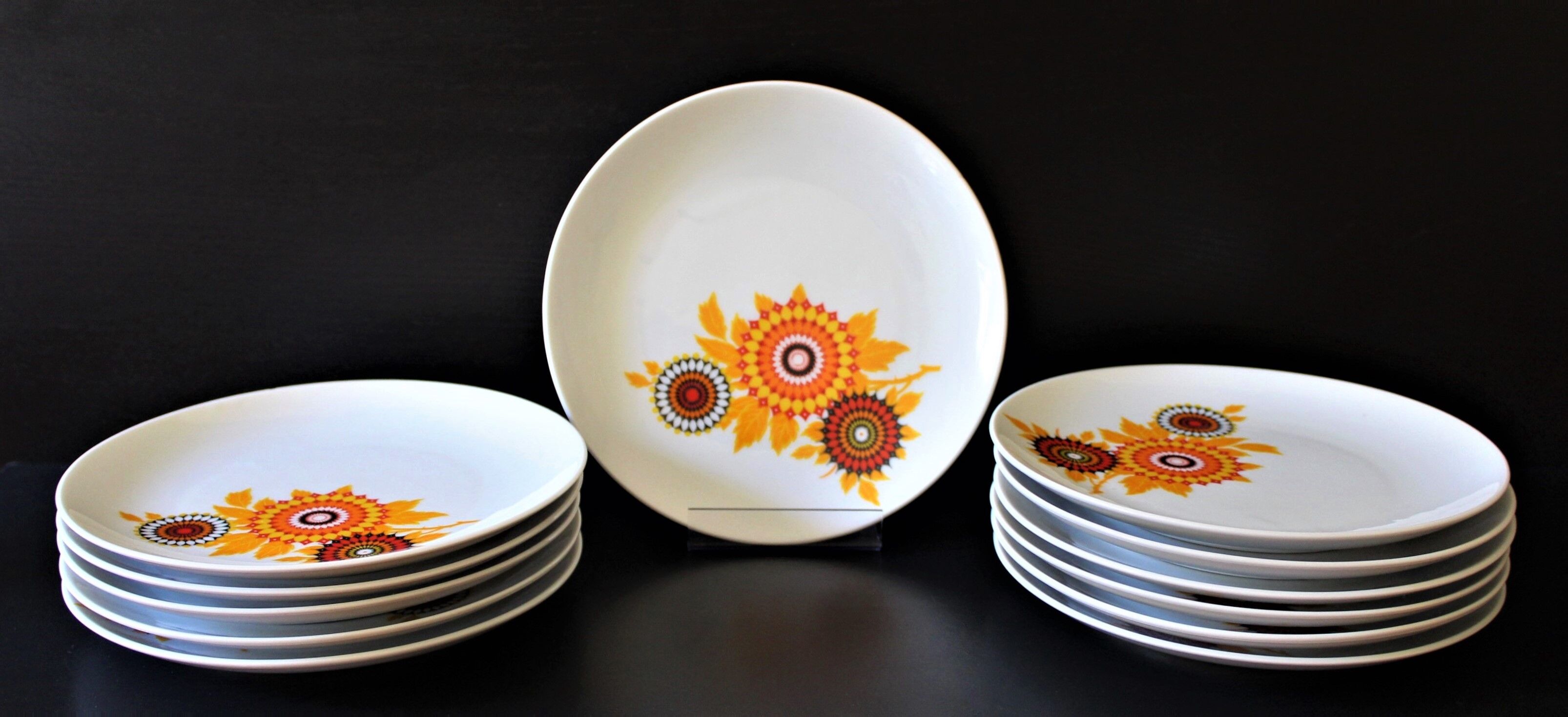 6 70's dessert plates in Winterling Bavaria porcelain