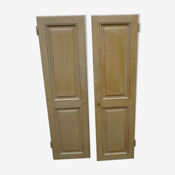 Pair of doors with old green patina