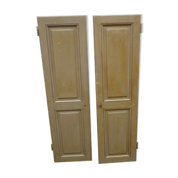 Paire de portes à patine verte ancienne
