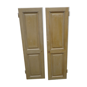 Pair of doors with old green patina