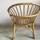 Adult rattan shell armchair