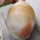Old terracotta pot