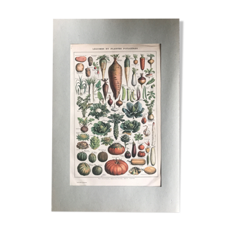 Original vintage vegetable board