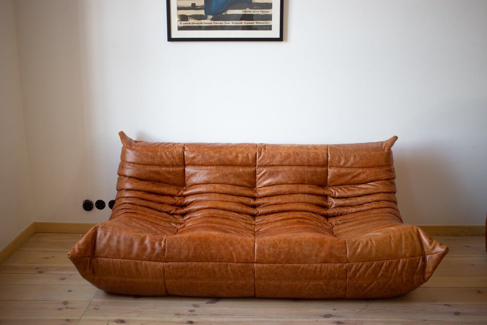 Pine leather Togo living room set attributed to Michel Ducaroy for Ligne Roset, 1979, set of 5