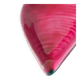 Shell Vallauris Empty Pocket