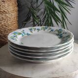 Fine porcelain dessert plates