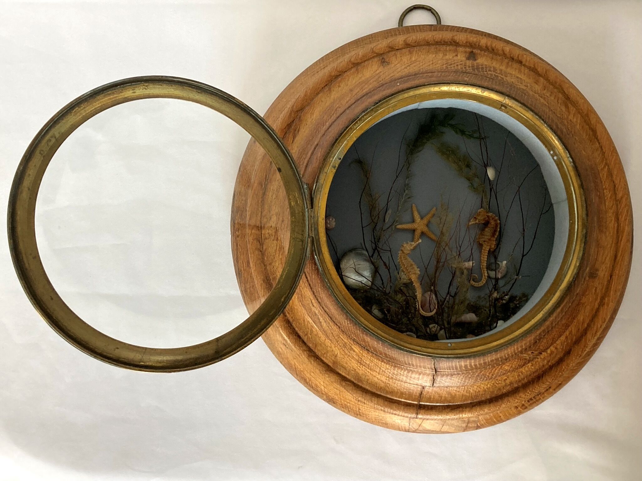 Object of curiosity diorama seabed porthole XXth
