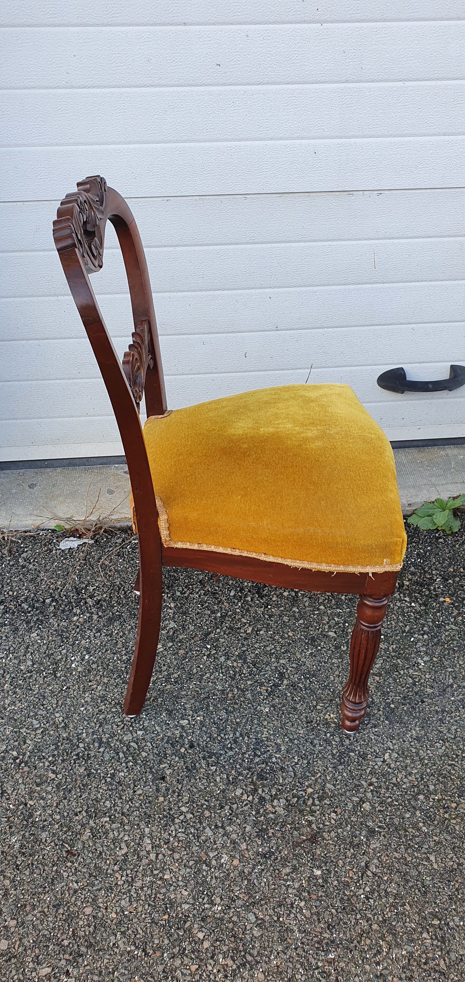 Chaises acajou et velours début XXéme