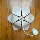 Small flower suspension