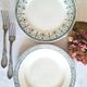 Mismatched antique ironstone dinner plates