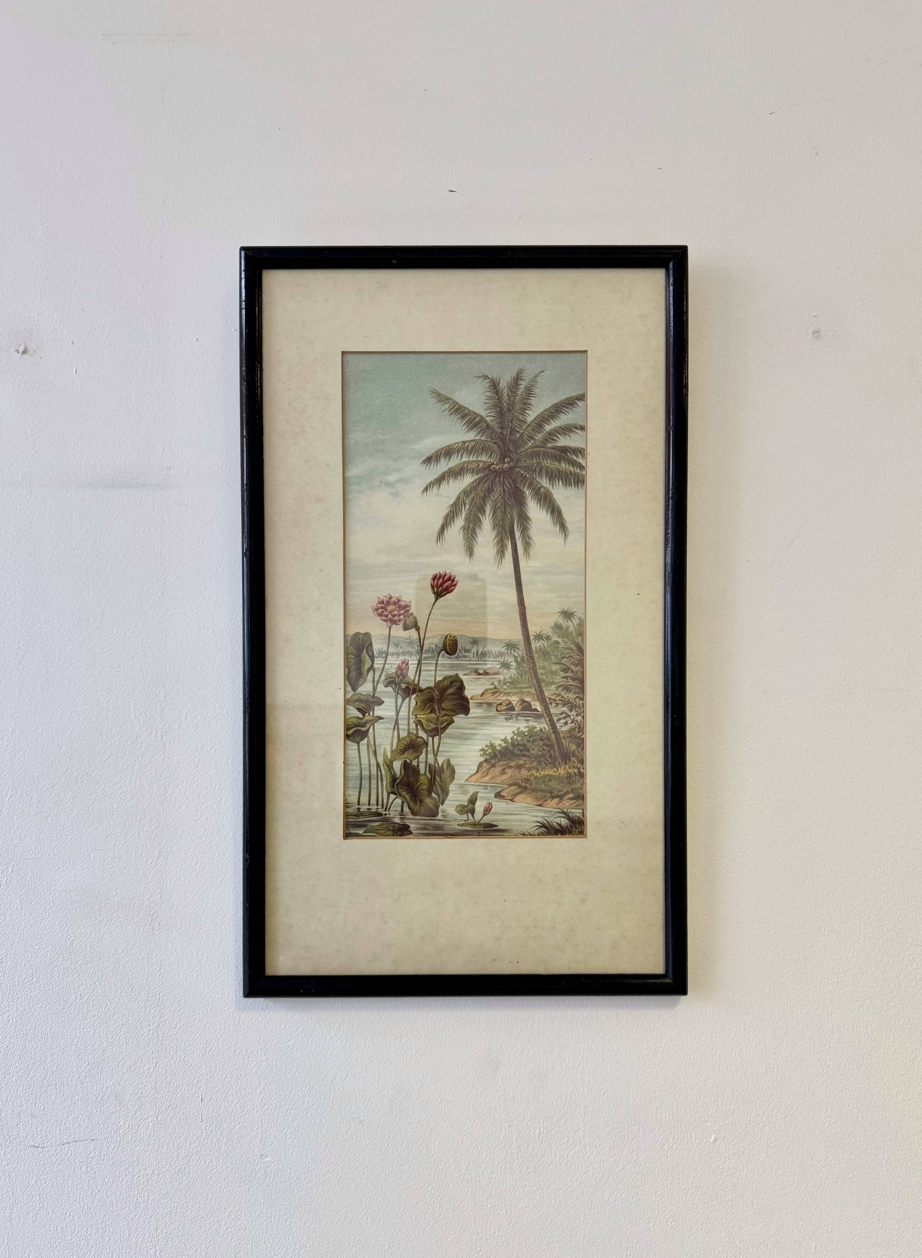 Vintage Print of Lotus Flower and Palm Tree Black Frame