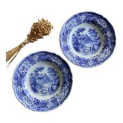 Duo of vintage Villeroy & Boch hollow plates "Burgenland"