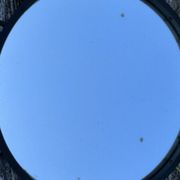 Sun mirror 1960 47cm