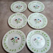 Set of 6 flat plates in ironstone Digoin Sarreguemines – Poupette model – Vintage