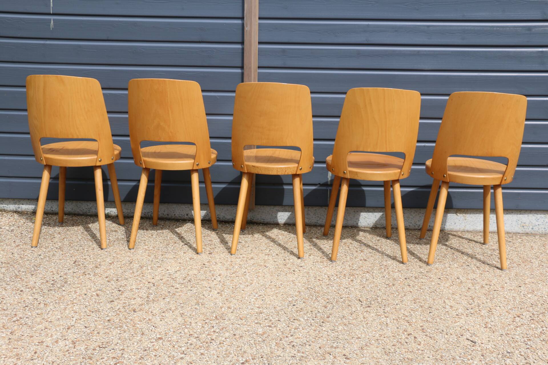 5 BAUMANN “MONDOR” light beech chairs