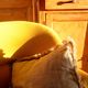 Coussin tissu sanderson fleurs et paon et franges en lin