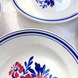 6 Salsola flat plates