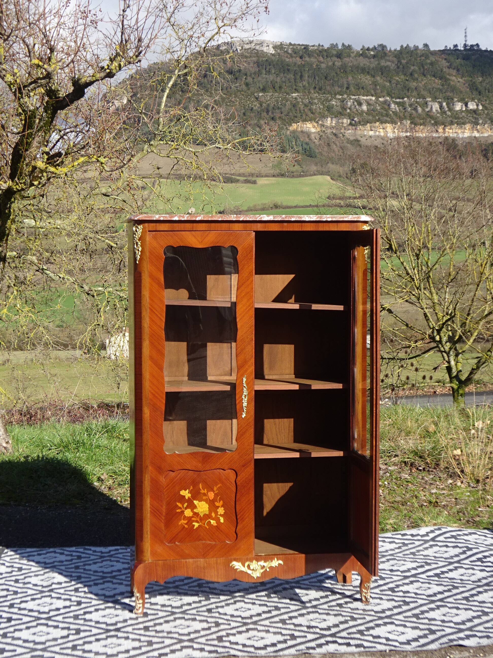 Glass library with rosewood marquetry in the Louis XV style.