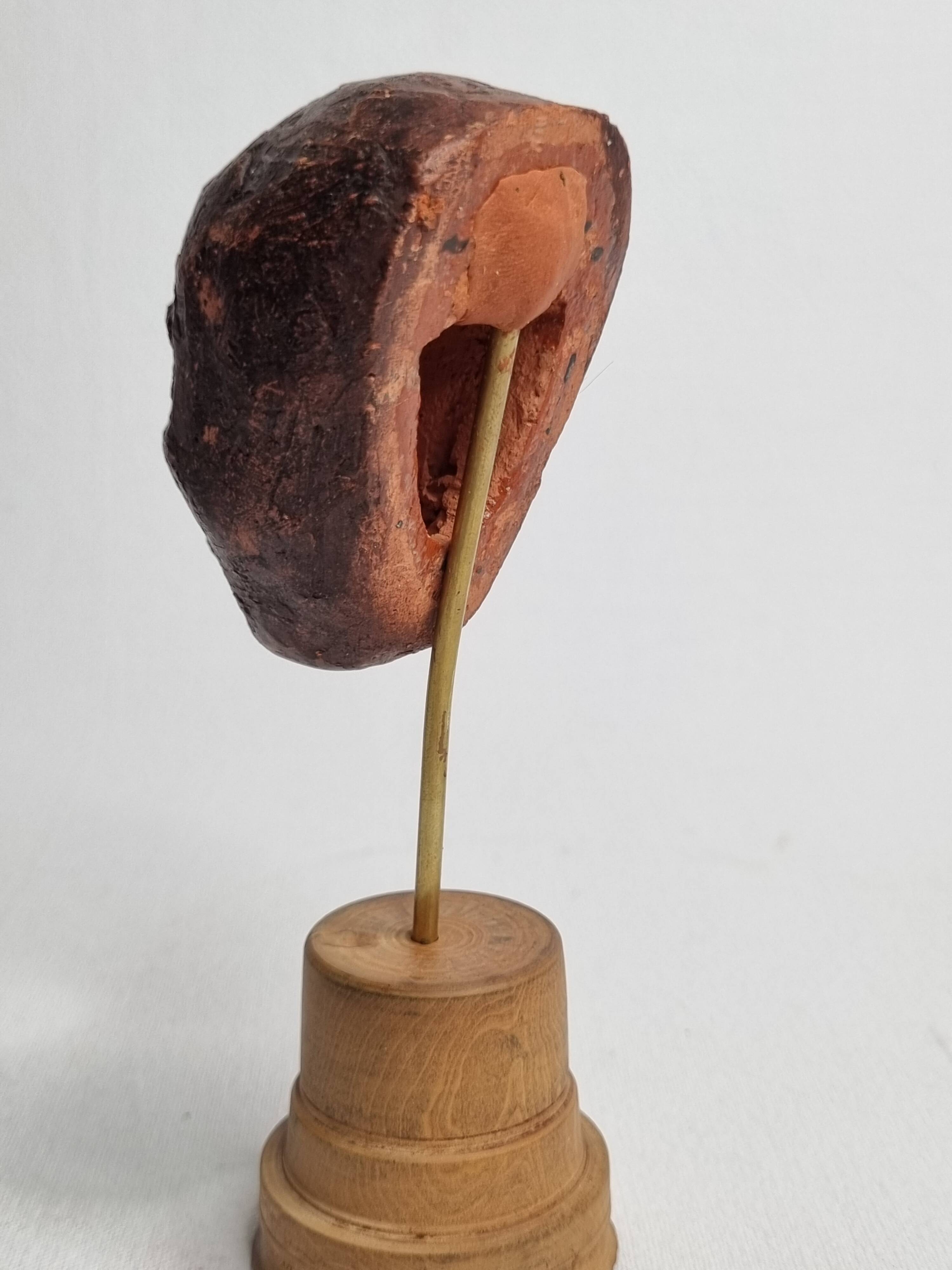 Expressive sculpted head in patinated terracotta on wooden base, 14 cm