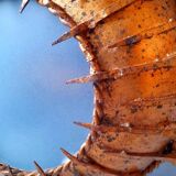 Brutalist sunburst wall light 1960