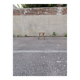 Tabouret tripode