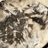 Very large empty pocket or dish in petrified wood