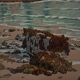 Lithograph by Henri Rivière Aspects of Nature - The Sea