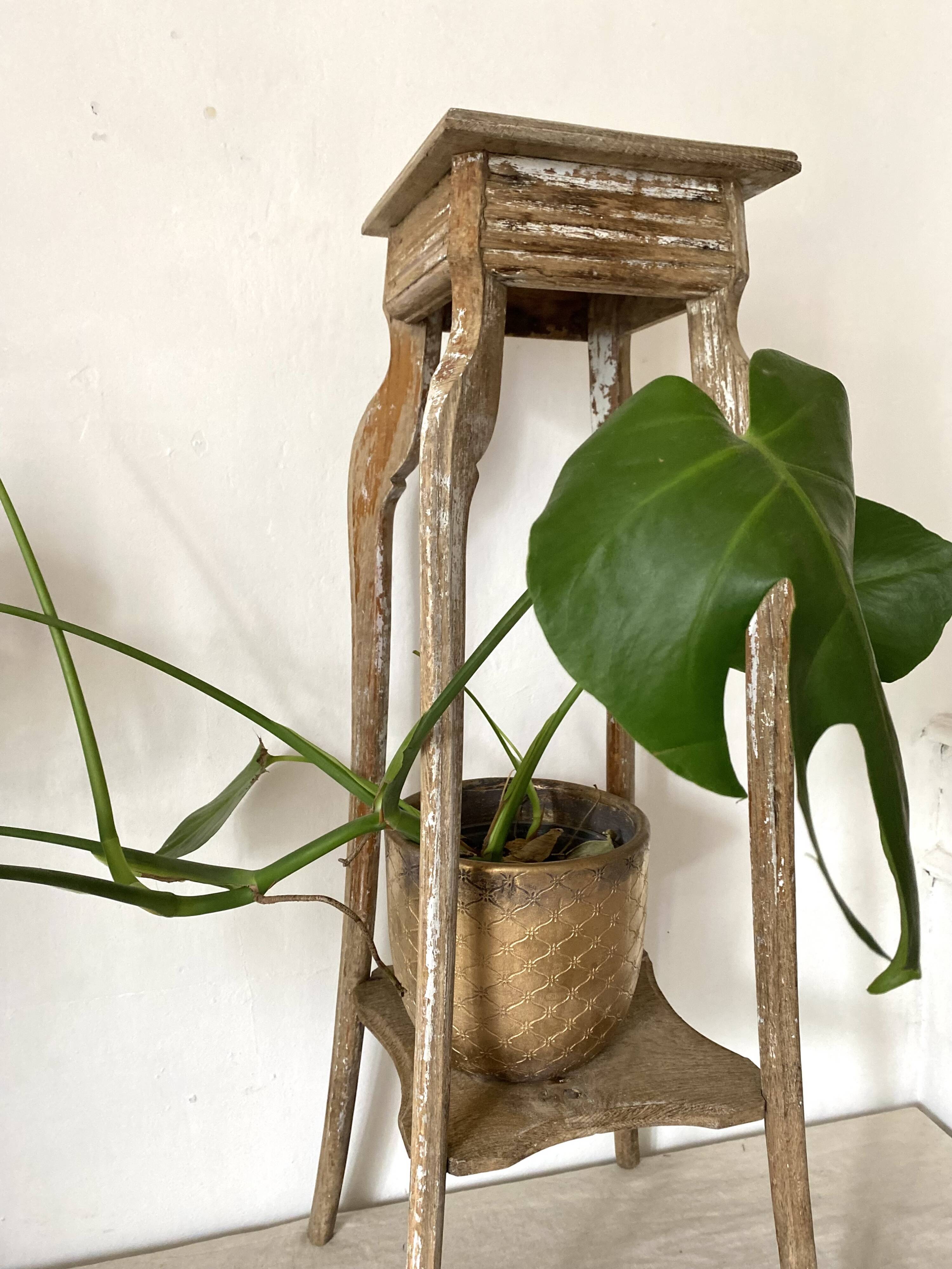 Wooden plant holder