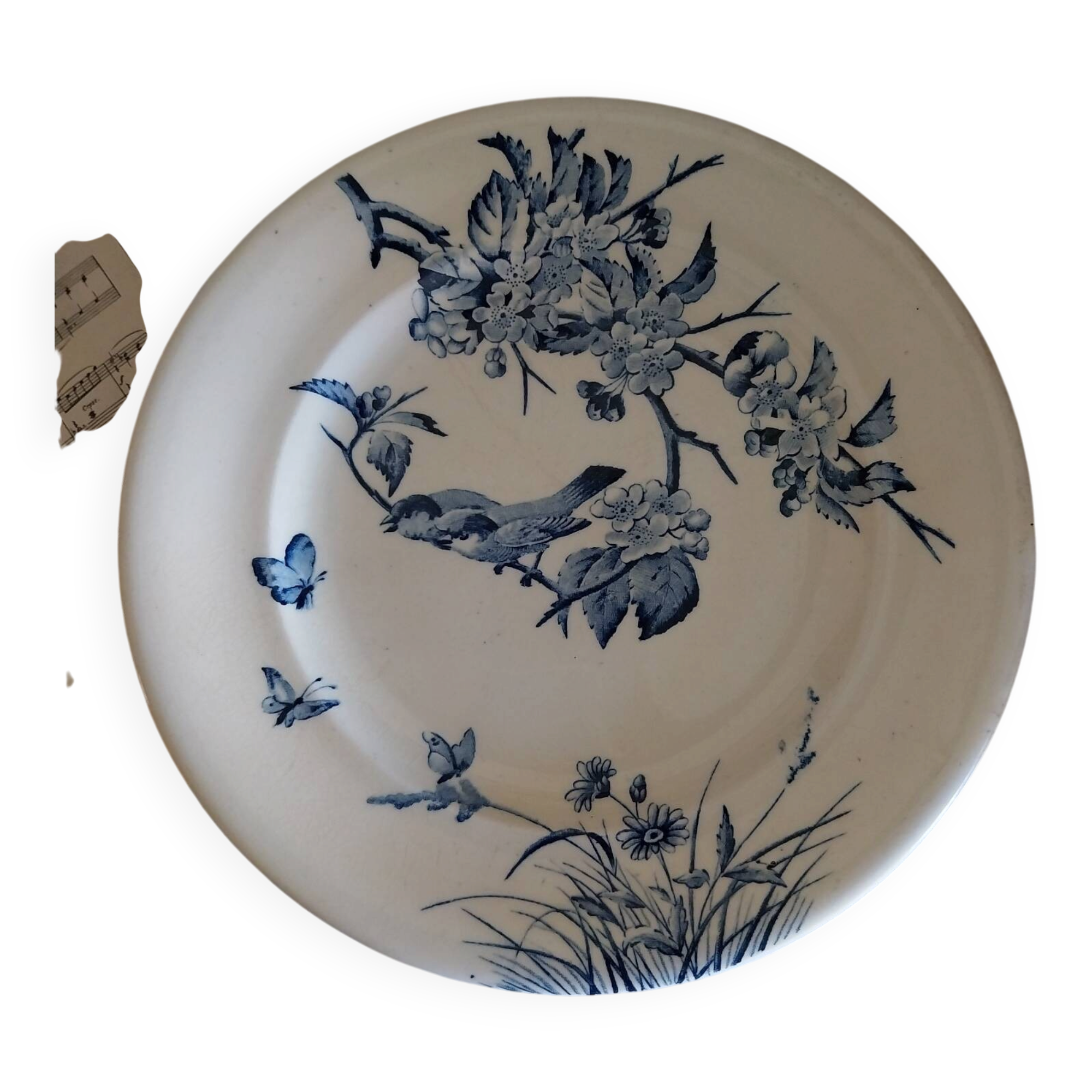 Old flat plate ironstone