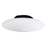 Vintage ceiling light 1960