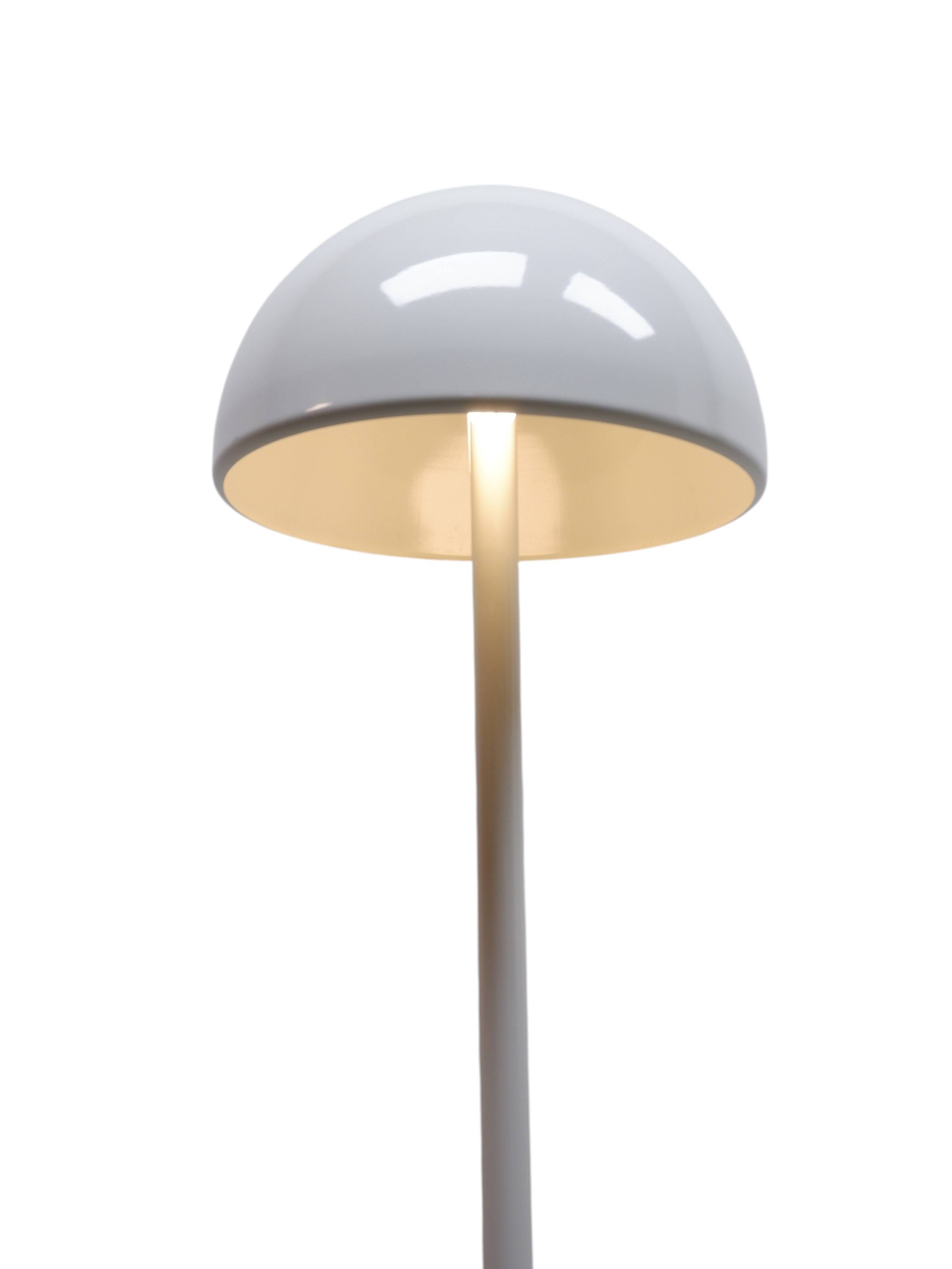 Italian floor lamp by Goffredo Reggiani