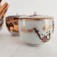 Satsuma Japanese tea set for 4 people