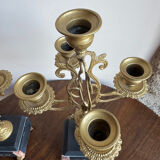 Pair of 5-light candelabra in Empire style