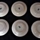 Lot of six flat plates in earthenware Gien décor blue thistles