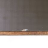 Dining table by Paolo Buffa for Palazzi Dellarte Cantù, 1950s