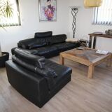 Roche bobois sofa