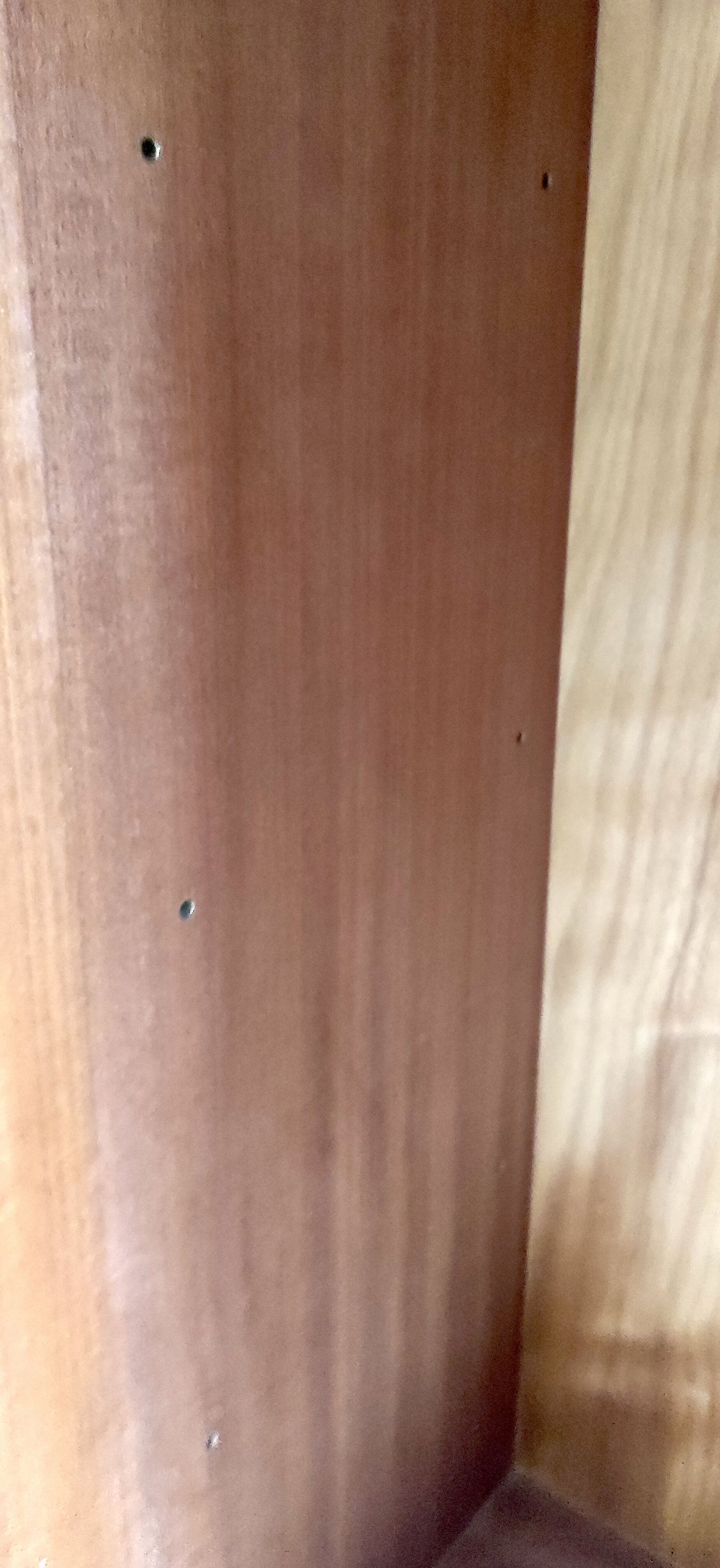 Modernist teak cabinet – 60s