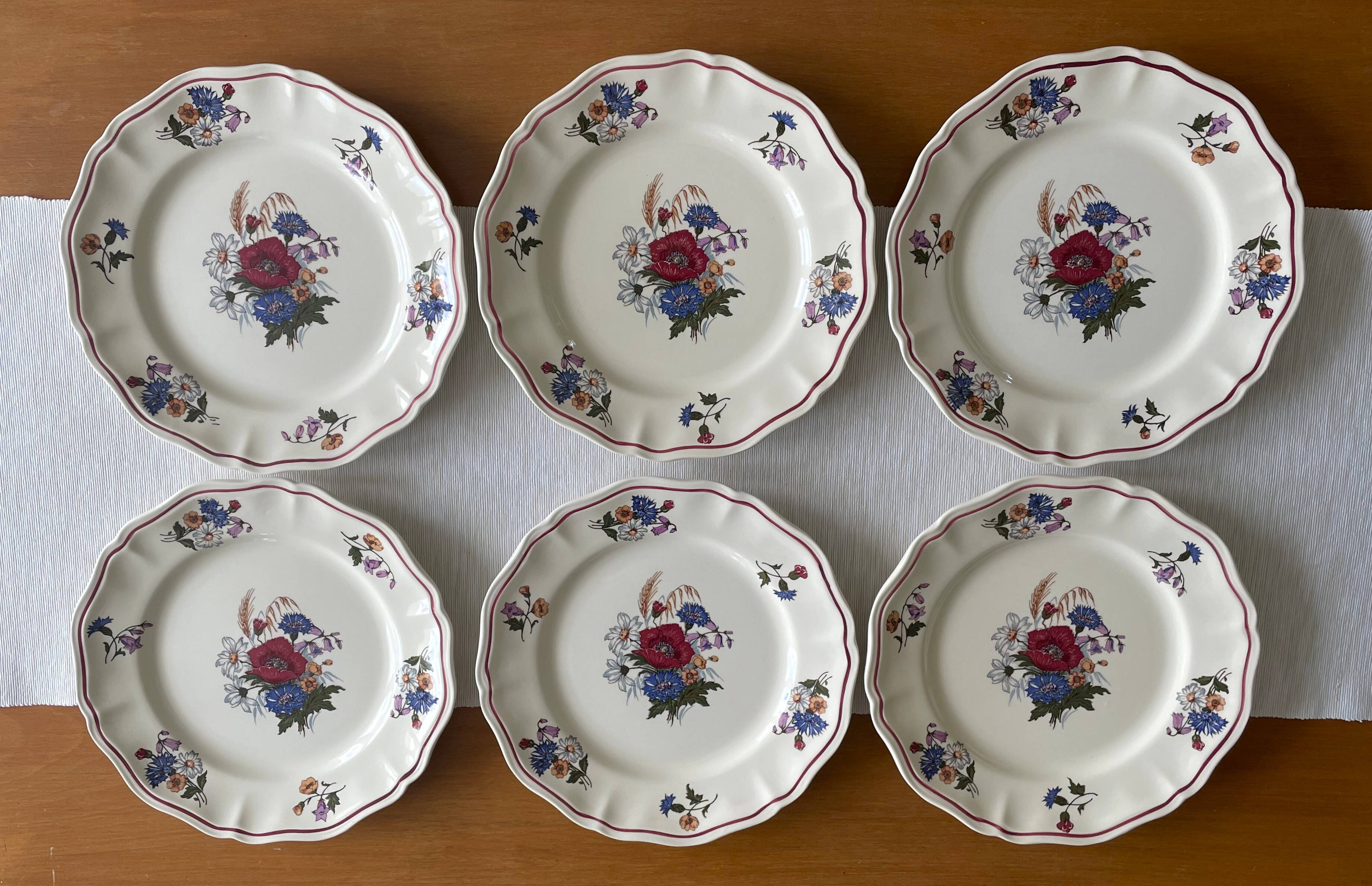 6 large flat antique plates in Sarreguemines earthenware