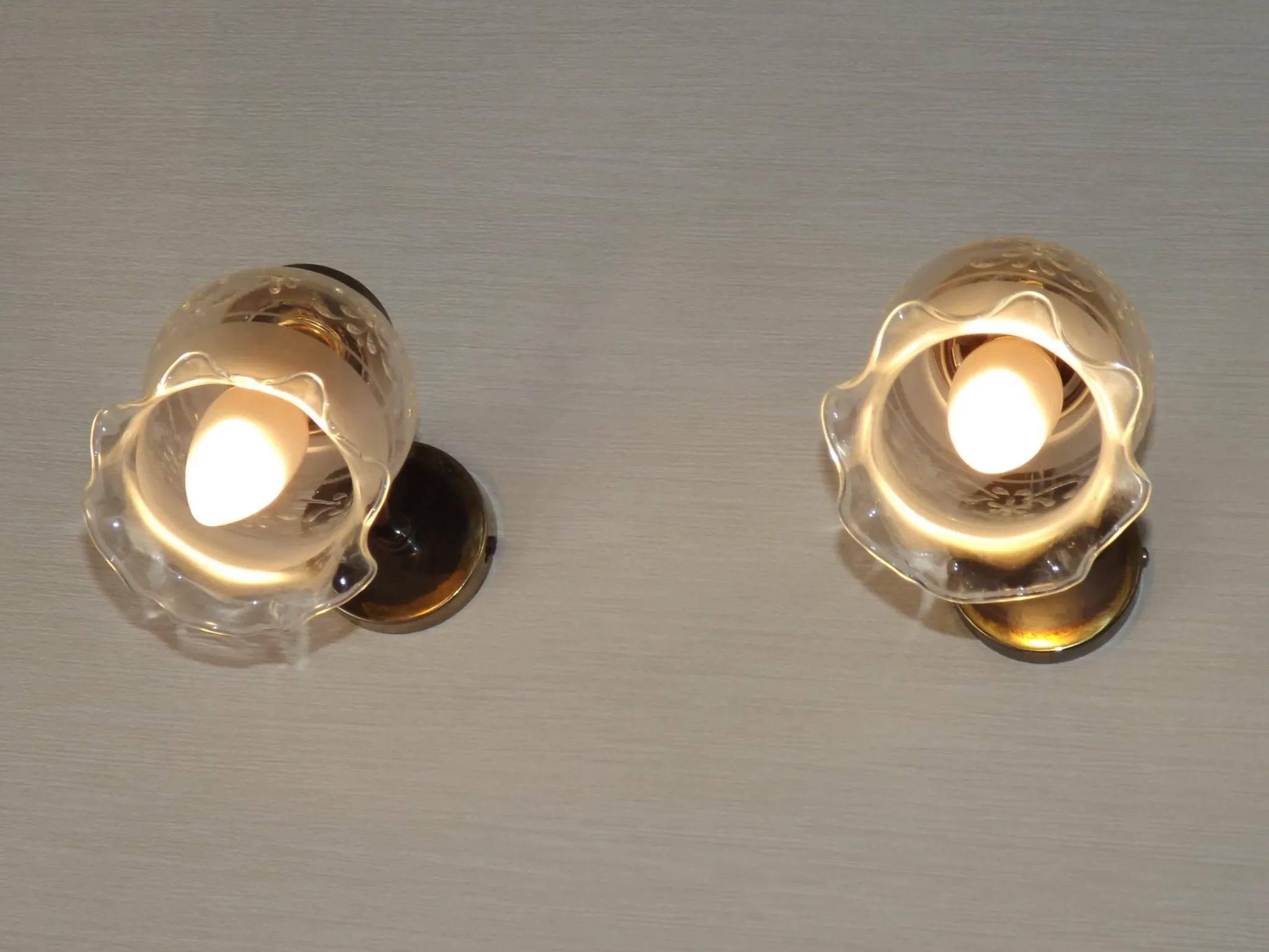 Pair of French Vintage Bronze Effect Metal Wall LIghts Floral Glass Shades