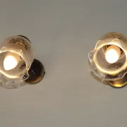 Pair of French Vintage Bronze Effect Metal Wall LIghts Floral Glass Shades