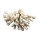 Coral branch