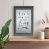 Imprimée en 1889, les scrophularinées. Planche botanique ancienne.