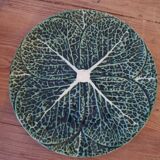 Cabbage soup in green slurry