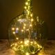 Dame-jeanne Viresa verte claire de 16L