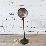 VintageEagle gooseneck desk lamp