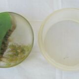 Glass box - painted lid - early 20th century