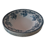 Plates crown of roses. Iron earth