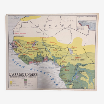 Carte pédagogique vintage recto-verso L'Afrique noire Végétation et relief années 1940-50